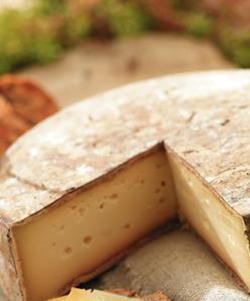 Fromages à pâtes pressées